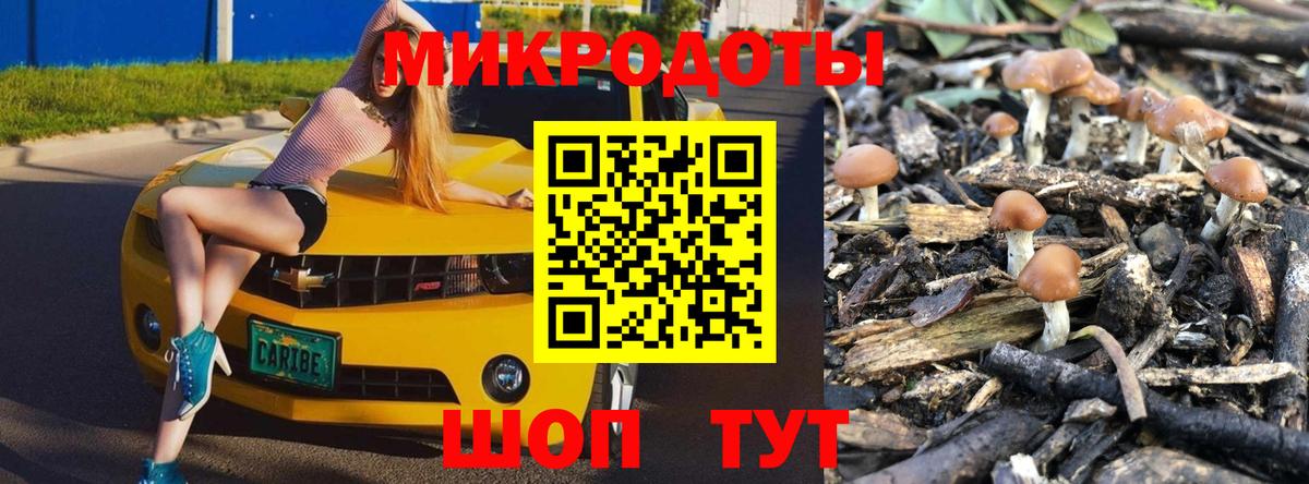 Псилоцибиновые грибы мухоморы Комсомольск-на-Амуре